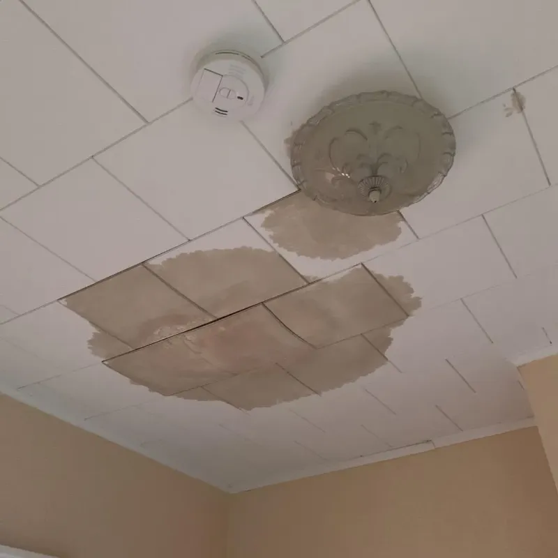 Ceiling Water Damage Repair in Byron, GA