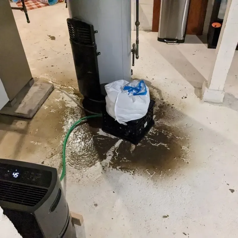 Sewage Backup Cleanup Service in Byron, GA